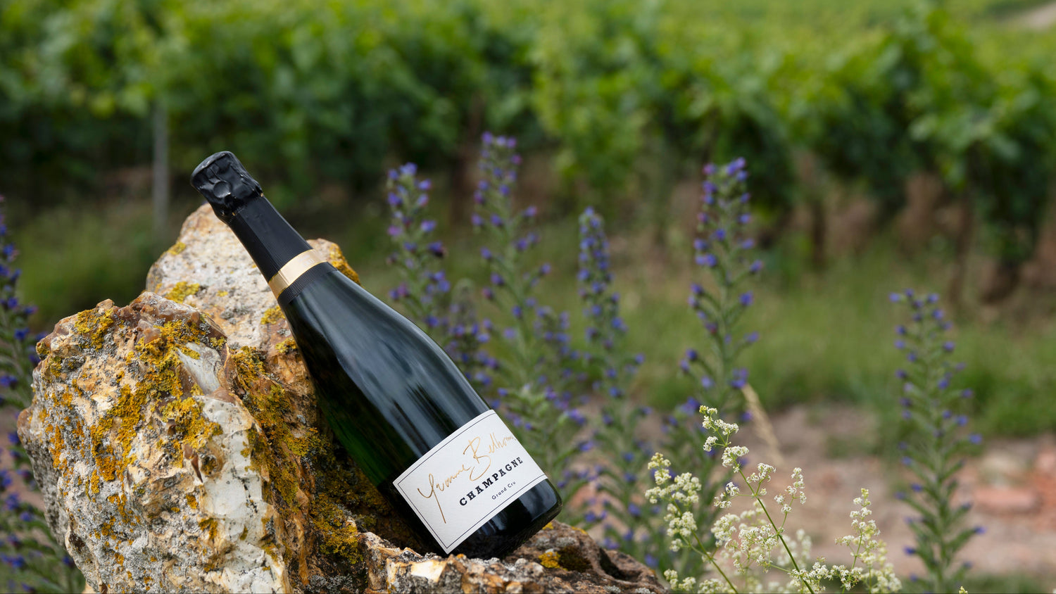 Bottle of champagne Yvonne Belhomme on a rock with vineyards in the background
